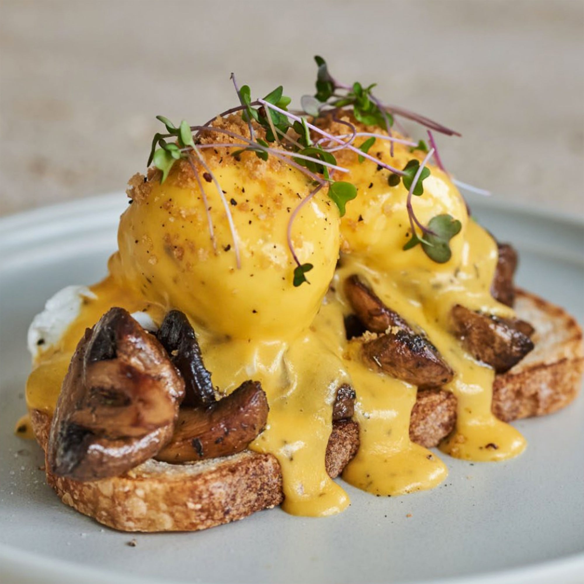 Truffle Eggs Benedict Truffle Eggs Benedict